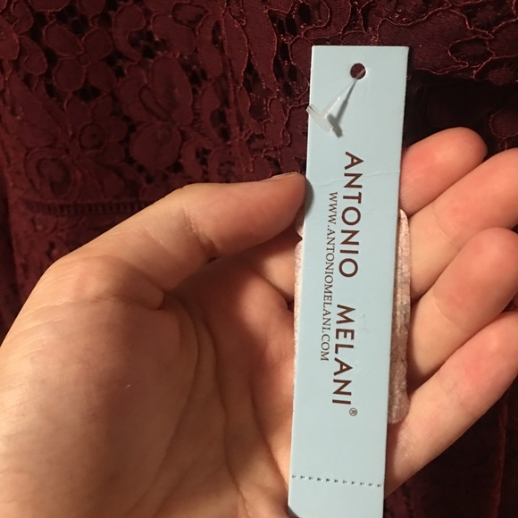 Antonio Melani Lace V Neck Dress - Picture 3 of 4